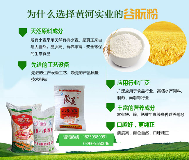谷朊粉厂